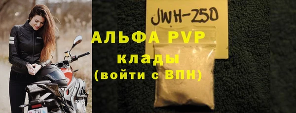 стаф Козловка