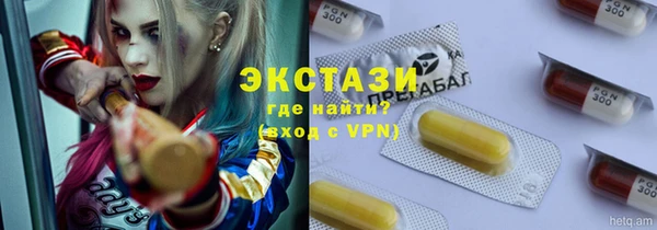 стаф Козловка