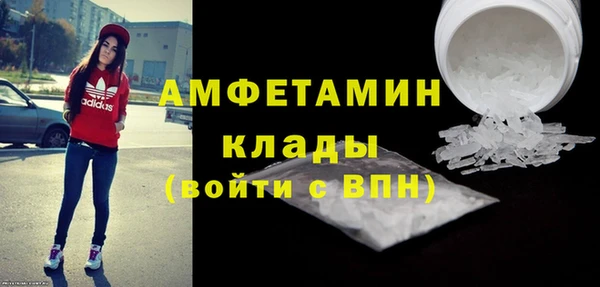 стаф Козловка