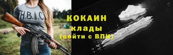 шишки Козельск