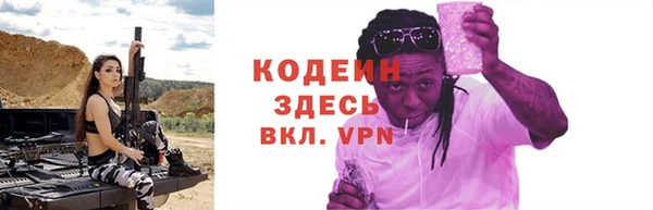 стаф Козловка