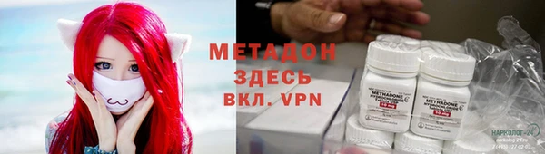 стаф Козловка