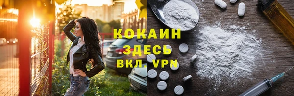 стаф Козловка