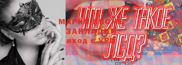стаф Козловка