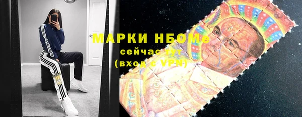 стаф Козловка