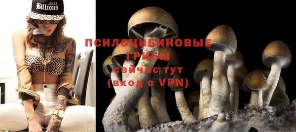 метадон Кодинск